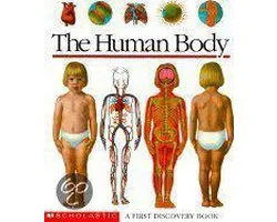 The Human Body
