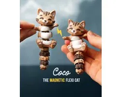 Sleutelhanger Kat Magnetisch - Set van 2 – Flexi Kat Coco Animal Keychain – Eco-vriendelijk cadeau - Fidget Toy - Verzamelitem - Voor Kattenliefhebbers