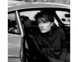 David Sylvian - Gone To Earth (2 LP)