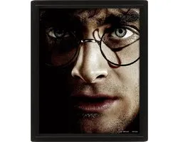 Harry Potter (Harry VS Voldemort) - Affiche 3D dans un cadre noir