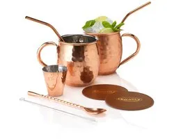 Moscow Mule Cup Set - Set à cocktail - Comprenant 2 délicieuses recettes de mule - Cadeau de luxe homme femme - 500 ml - Qwality