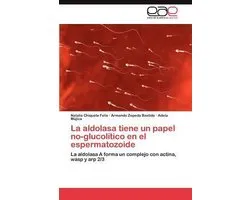 La Aldolasa Tiene Un Papel No-Glucolitico En El Espermatozoide