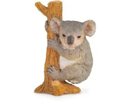 COLLECTA Figurine - Koala - (M)