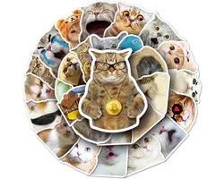 Grappige Katten Stickers - Cat Meme katten sticker set - 50 stuks - Voor laptop, smartphone, muur. Voor kinderen en volwassenen.
