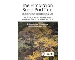 The Himalayan Soap Pod Tree (Gymnocladus assamicus)