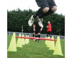 Agility Set 5 stokken en 10 pionnen