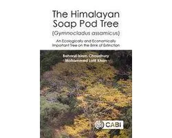 Himalayan Soap Pod Tree (Gymnocladus assamicus), The