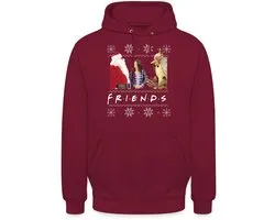Friends Ugly Christmas Sweater Hoodie Unisex