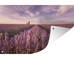 Champ de Lavande avec coucher de soleil en Provence 180x120 cm XXL / Groot format!
