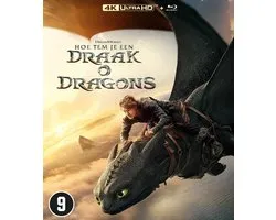 How To Train Your Dragon
