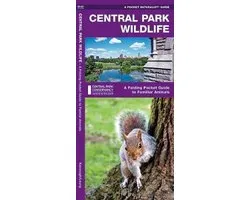 Central Park Wildlife