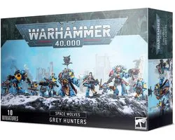 Space Wolves Chasseurs Gris