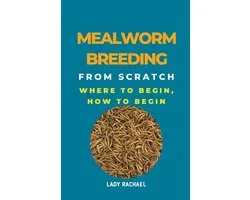 Mealworm Breeding From Scratch