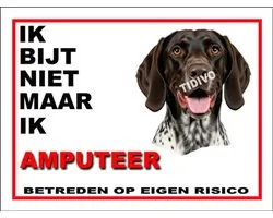 Gammel Dansk Hønsehund 5