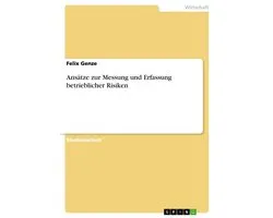 Ans�Tze Zur Messung Und Erfassung Betrieblicher Risiken
