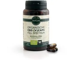 Organische CBD Olie Capsules (Vegan) - 100 stuks - Extra Sterk - Full Spectrum - 100% Natuurlijk - 4000mg CBD - Nieuw
