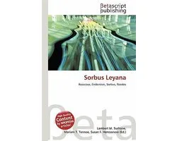 Sorbus Leyana