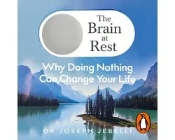 The Brain at Rest