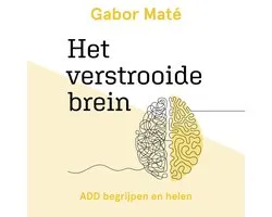 Het verstrooide brein