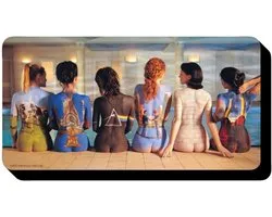 NMR Distribution Pink Floyd: Back Art Funky Chunky Magnet Magnets