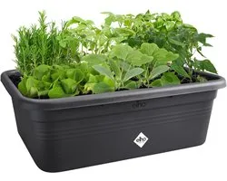 Elho Green Basics Grow Garden l - Grote Kweekbak - Moestuinbak met vakverdelers - 100% Gerecycled Plastic - 76.3 x 57.4 x 26.8 cm - Living black