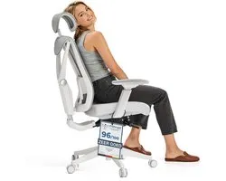 Desktronic SitPro Ergonomische Bureaustoel - Bureaustoelen voor volwassenen - Bureau stoel voor kantoor, gaming - 5D lendensteunsysteem - Armleuningen 4D - Rugleuning 90° tot 135° - heeft BIFMA en .IGR ergonomiecertificering - Grijs