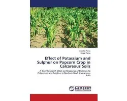 Effect of Potassium and Sulphur on Popcorn Crop in Calcareous Soils
