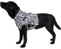 Chemise Medical Pet Top - Imprimé zèbre - L