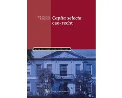 Boom Juridische studieboeken - Capita selecta cao-recht