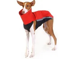 Manteau pour chien Softshell - Rouge - Corps Softshell - Sport canin - Agilité - Border Collie - Whippet - Rapid Dog Wear - Taille M