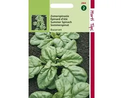 Hortitops Zaden - Spinazie Bazaroet Wolfres. A+B 15gram