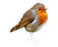 Robin | Autocollant d'Art Ornithologique Fidèle à la Nature