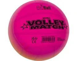 Mondo Volleybal Regenboog, 22cm