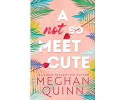 Cane Brothers-A Not So Meet Cute