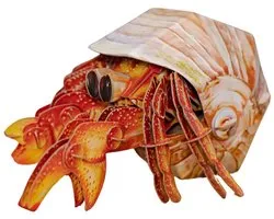 MakeBug, 3D Modelbouwpakket, Hermit Crab/Hermietkreeft, MB-B-0008, 18x9x8cm