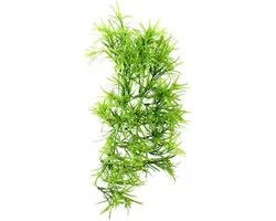 Hobby Terrano Climber Tropica, Hangend