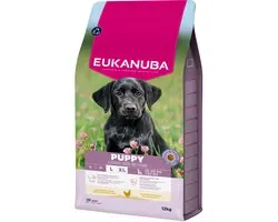 Kip Puppy Eukanuba au poulet de grande race - 12 kg