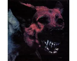 Protomartyr - Under Color Of Official (LP)
