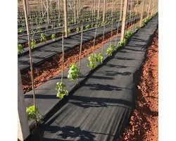 Wigo-Garden - Zwarte Agroweldoek - 60g/m2 - 320cm - 10mb