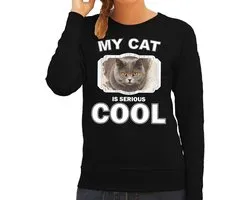 Pull / pull chat British Shorthair mon chat est sérieux noir cool - dames - pulls cadeaux amoureux des chats / chats S