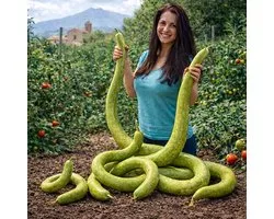 Kalebas zaden - Kalebas Sicilian Snake