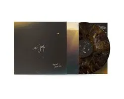 Mt. Joy - Hope We Have Fun (LP)