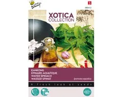 Buzzy® Xotica Kankong
