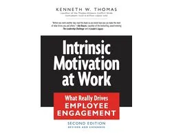 Intrinsic Motivation at Work