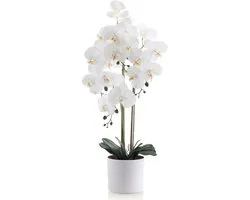 Meisterhome Kunstorchidee 80 cm – Realistische Phalaenopsis Orchidee – Bloeiende Kunstplant – Onderhoudsvrij – Witte Bloemen – Luxe Kamerplant in Pot