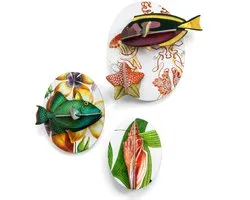 Collectors box Fishes - vol 1