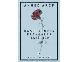Hasretinden Prangalar Eskittim