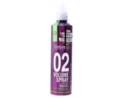 Volumegevend Spray Root Lifter Salerm - Haarspray - 250 ml