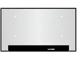 LCD Scherm geschikt voor MSI Raider GE66 12UHS-220NL