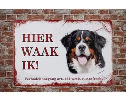 Here I watch Berner Senner - Plaque murale - Plaques métal - Décoration - Plaque murale - Plaque métal - 20 x 30cm - Décoration métal - Résistant aux UV - Eco friendly - Plaque Chiens - Cadeau - Cave & Garden